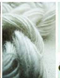 Nature Dye House logo icon