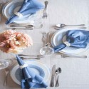 linen napkins thumb 7