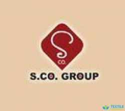 S Co Group logo icon