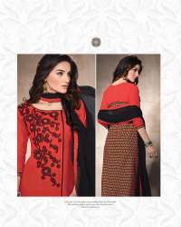 Salwar Suit - Daisy Vol 2