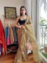 gotta-work-organza-saree