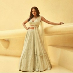 Heavy faux georgette choli 