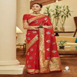 Beautiful Banarasi saree
