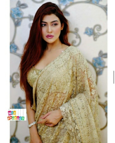 Bollywood DESIGNER SAREE