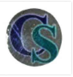 Chitvan Saree logo icon