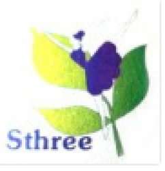 Sthree logo icon