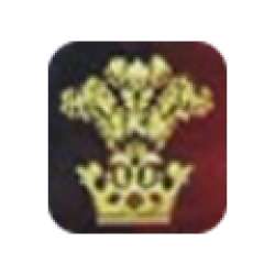 Royal Chikan Palace logo icon