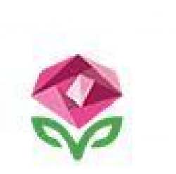 Diamond Rose logo icon