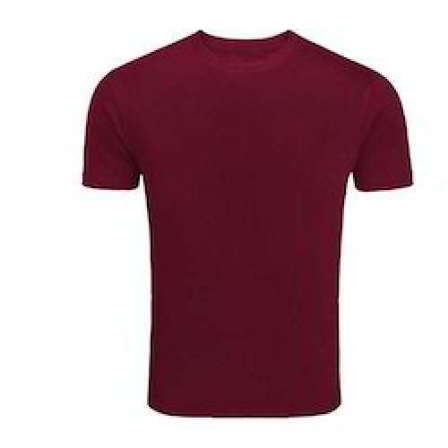 Mens Round Neck Plain T shirt  by Prosolutions