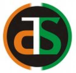 The Digital Services logo icon