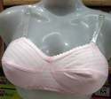 fancy-transparent-nylon-bra