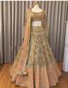 sequence-work-organza-lehenga