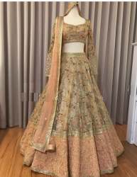 Sequence Work Organza Lehenga 