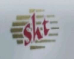 Shree Hari Textiles logo icon