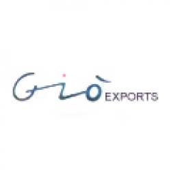 Gio Exports logo icon