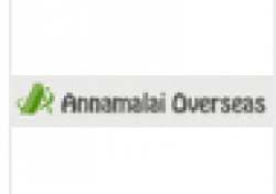 Annamalai Overseas logo icon