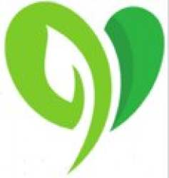 2D International logo icon