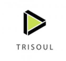 Trisoul Apparel Private Limited logo icon