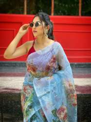 Soft Pure Organza Sequence Silk Saree