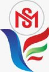 Ms Designer logo icon