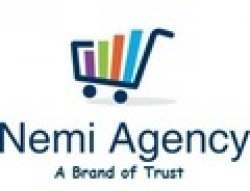 Nemi Agency logo icon