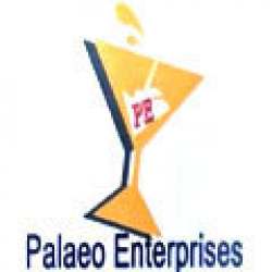 Palaeo Enterprises logo icon
