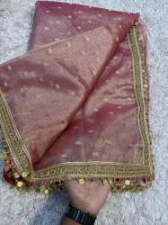 Banarasi Tissue Booti Silk Saree With gotapatti + Coin lace Hand Work