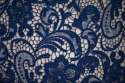 Navy Blue Lace Fabric thumb 3