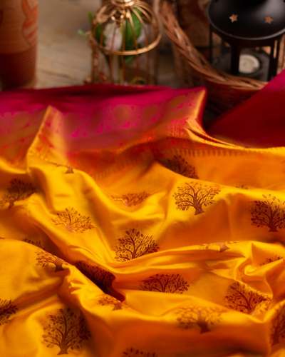 Beautiful Balaton sarees with jacord blouse