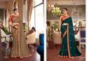 exclusive-fancy-work-saree