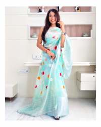 Geet Gauri Organza designer saree with Silver Zari work