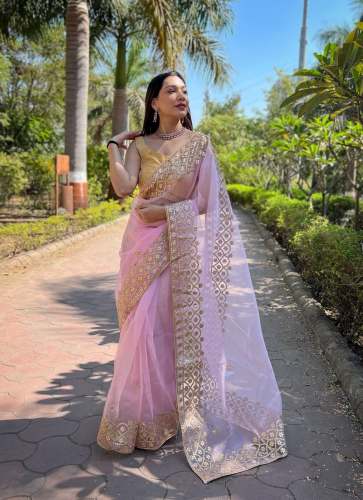 Organza gotapati saree With viscose thread work in all over saree