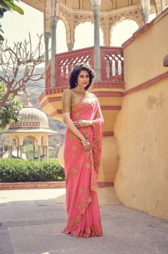 Simmer chiffon saree with embroidery work