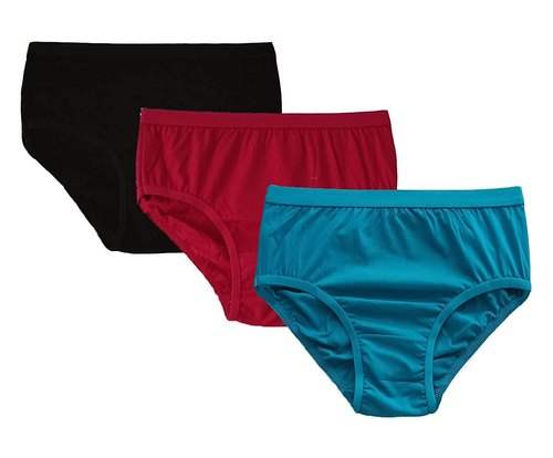 Womens Cotton Panties by skybirds incorp 