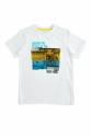 Buy Boy Kids T Shirt At Online Price By Pantaloons