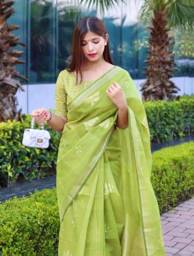 Pure Linen Silk Saree With Zari Flower and Checks