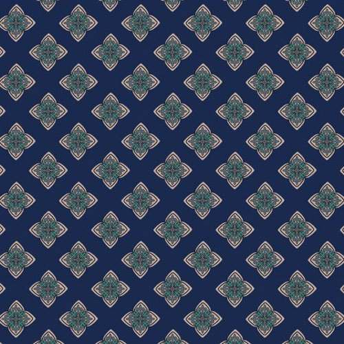 Printed Tussar silk Fabric 