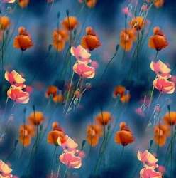 Fancy Digital Printed Net Fabric