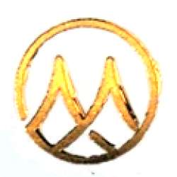 Manas Trendz logo icon