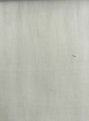 Organic Woven Fabric