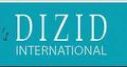 Dizid International logo icon