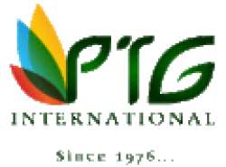 P t g internaational logo icon