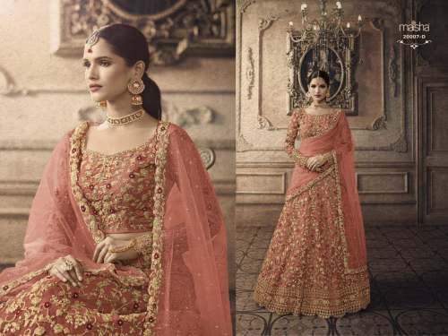 Functional Wear Light Color Embroidered Lehenga by Raza Collection