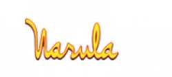 Narula Cloth House Textiles logo icon