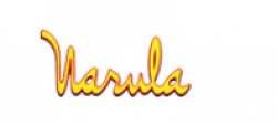 Narula Cloth House Textiles logo icon