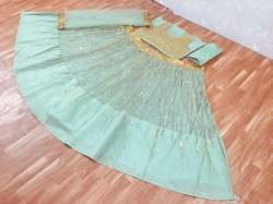 Sky Color Net Embroidered Lehenga Choli