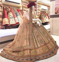 Ladia Presents Bridal Lehenga Choli 