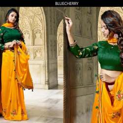 Trendy Saree With Designer Blouse 