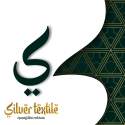 Silver Textile