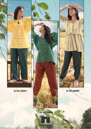 Stylish Tops And Pant With Handloom Cotton